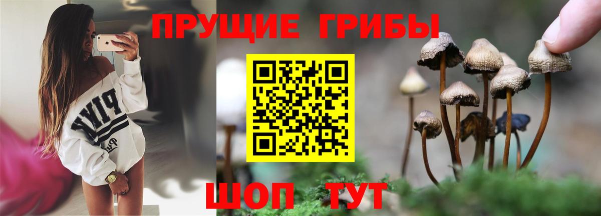 Галлюциногенные грибы мицелий Фурманов
